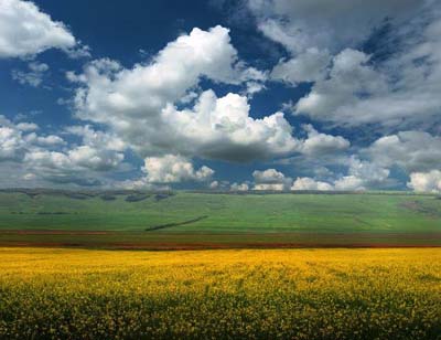Живые примеры развития агротуризма в Тюменской области