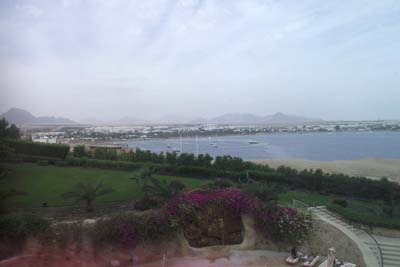  Stella Di Mare Sharm Beach Hotel & Spa 5,    .       